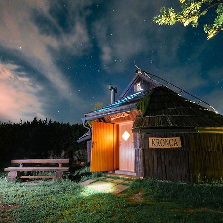 Koca Kronca - Velika Planina Stahovica Exteriör bild