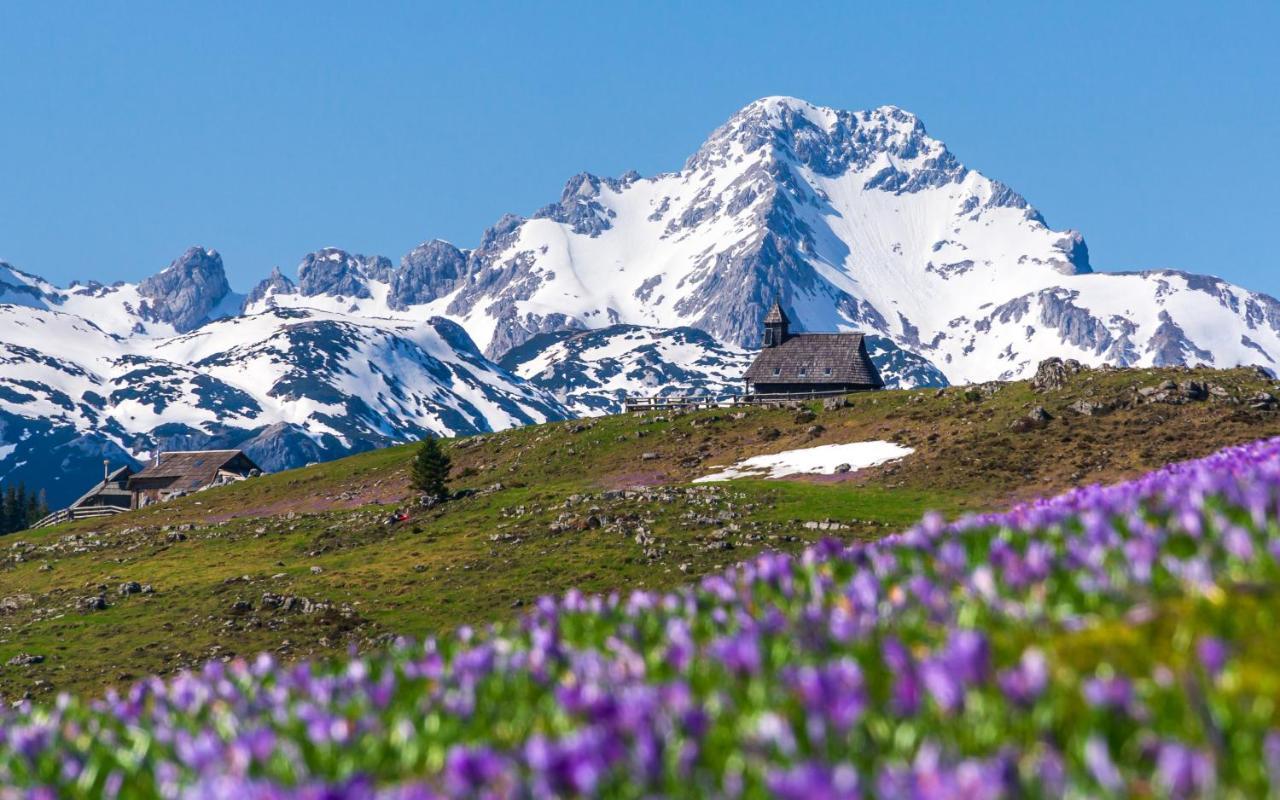 Koca Kronca - Velika Planina Stahovica Exteriör bild