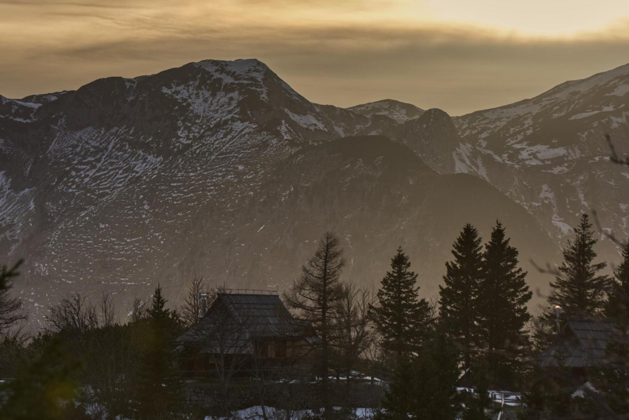 Koca Kronca - Velika Planina Stahovica Exteriör bild